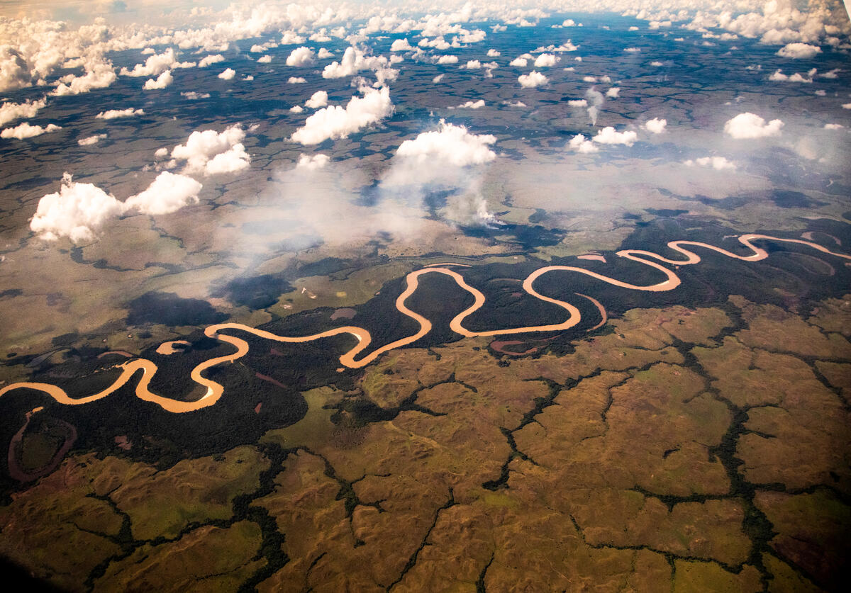 Reducción de la deforestación