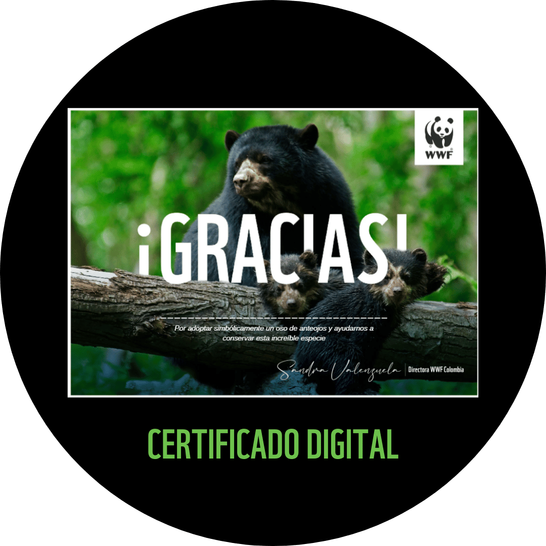 Certficado-OSO
