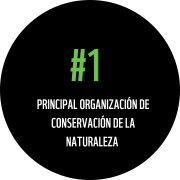 wwf colombia #1 global